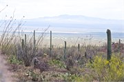 Tucson 2543